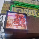 황소카센타 | 송정역황소곱창맛집 잊지 못할 &#39;황소곱창&#39;