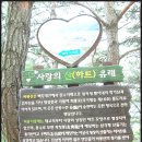 아카데미 15기 50차 정기산행 - 예천 비룡산 회룡포 이미지