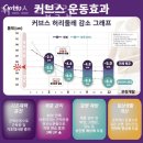 커브스 고읍클럽 | 광사동헬스장 커브스 고읍클럽 위치