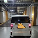 (주)모두카 | 케이카 후기｜첫 중고차 구매, 2022년 레이 만족한 이유