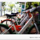 라보장 이미지