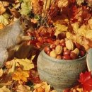 (주)아름다은 이미지