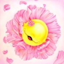 경기대학교 조형대학원 이미지