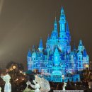 바보사 | 상하이 디즈니랜드 식음료쿠폰 사용법/등록/사용처/주문 방법