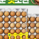 (주)녹색이웃