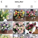 원스플레르