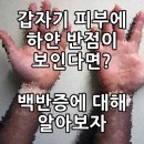 하얀마음한의원 이미지