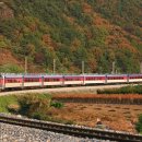 H4556 이미지