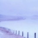 제성기아 이미지