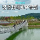 노을어린이공원 | 대전 갑천생태호수공원 개장 주차장 꿀팁 어린이놀이터