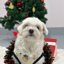 놀러오개 서산점 이미지