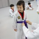 행복한태권도장 이미지