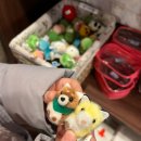 화르곰 이미지