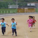 <나무반> 달리기 하고왔어요~~ 이미지