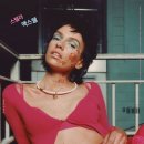 STELLA KOREA 이미지