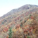 화악산 개울건너 이미지