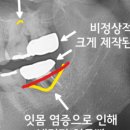참조은치과의원 이미지