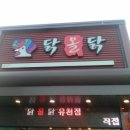닭올닭 이미지