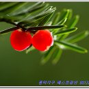 ABLE공인중개사사무소 이미지