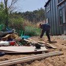 완정농장2 이미지