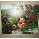 박금숙농장 이미지