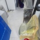5톤 반포장 포장 소형 용달 미소 이사 업체 이용 후기