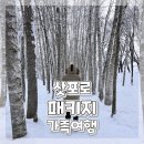일본 삿포로 하나투어 3박 4일 패키지여행ෆ 2일차 타쿠신칸 비에이투어 켄과 메리의 나무