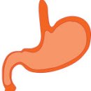 호랑이한의원 이미지