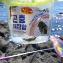 중문햇빛펜션 | 제주 서귀포 오션뷰 아모제펜션에서의 행복했던 성수기 2박3일 후기