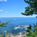 속초 해안 산책 명소 ‘바다향기로’ 안전 등급 불량…12월부터 통행 금지 이미지