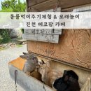 토끼골한우농장 | [에코팜] 충북 진천 동물먹이주기체험 카페 아이랑 가볼만한곳