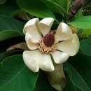 청도동부초등학교 이미지