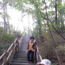 빙그레당구장 Daum카페