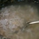 팔도강산별관 네이버블로그