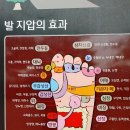 아이스크림 특공대 | ​🚀 햇살단 특공대의 가야산 '변비 타파' 로드맵