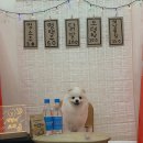 개린이보호구역 이미지