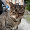 부림세탁소 이미지