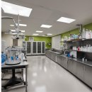 다나바이오 이미지