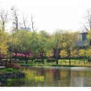 용산가족공원 이미지