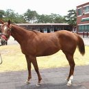 은석목장 이미지