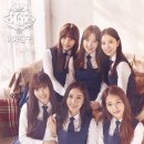 이미지 카카오 검색결과