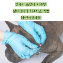 송탄시장약국 이미지