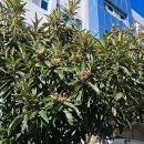 김판석정형외과의원 이미지