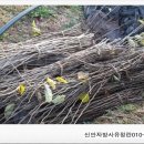 압해목장 이미지