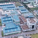 신젠타코리아 이미지