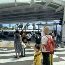 세븐부영 | 삼대가 함께한 4박5일 한여름 제주여행🏖️(아이와 갈만한곳, 찐맛집 추천!!)