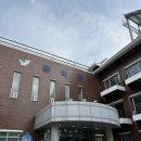 용두해수욕장 숲속야영장 | 보령 "용두해수욕장 동백관 &amp; 숲속야영장" - 휴식 .. 오두막 7.8