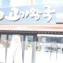 바닷속고기왕국 이미지