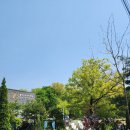 라온행정사사무소 이미지