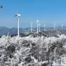 태기산정육점